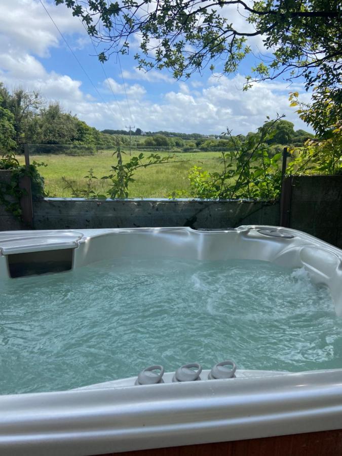 The Countryside Cabin With Private Hot Tub Daire New Quay Dış mekan fotoğraf